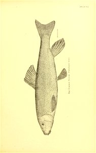 n536_w1150
