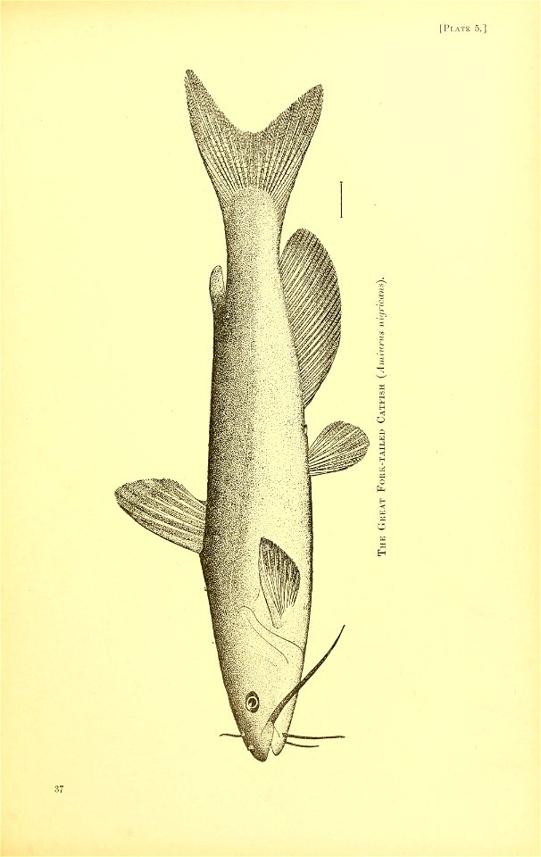 n534_w1150