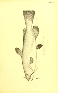 n532_w1150