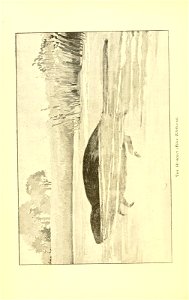 n363_w1150