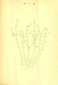 n400_w1150