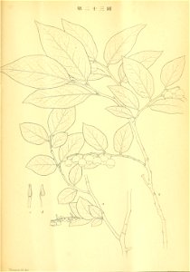 n408_w1150