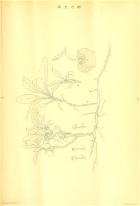 n392_w1150