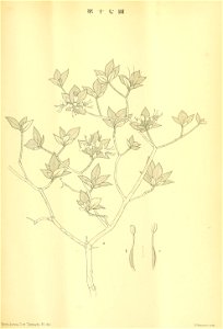 n384_w1150