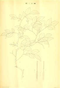 n396_w1150