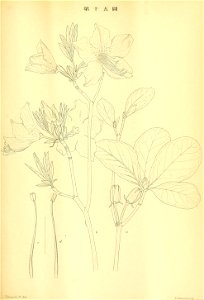 n376_w1150