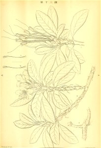 n368_w1150