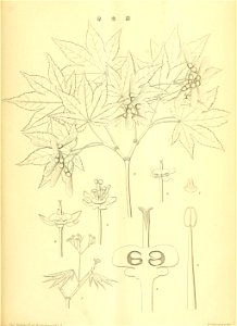 n48_w1150