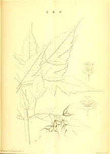 n44_w1150