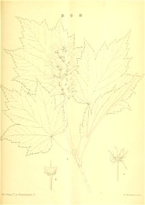 n40_w1150