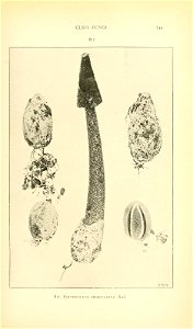n788_w1150