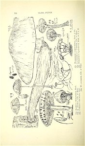 n763_w1150