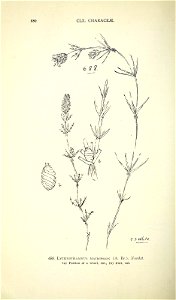 n719_w1150