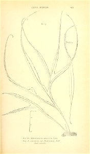 n694_w1150