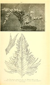 n690_w1150