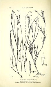 n657_w1150