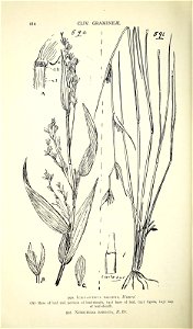 n653_w1150