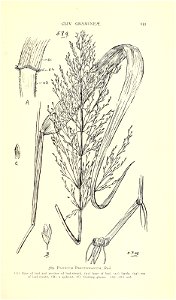 n652_w1150