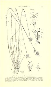 n638_w1150