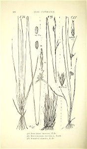 n635_w1150