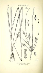 n631_w1150