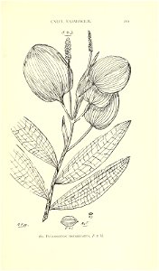 n624_w1150