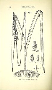 n621_w1150