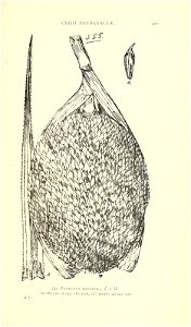 n616_w1150