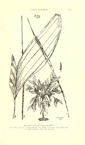 n614_w1150