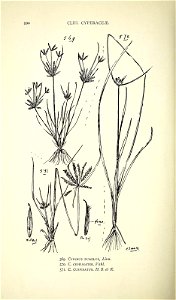 n629_w1150