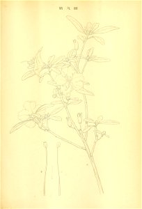n352_w1150