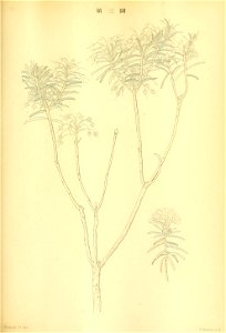 n328_w1150