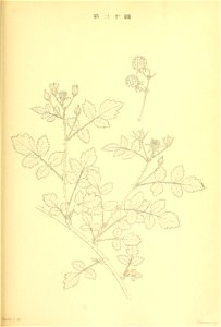 n216_w1150