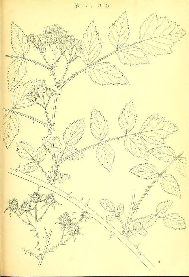 n212_w1150