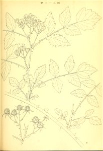 n212_w1150