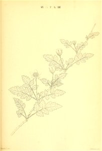 n204_w1150