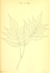 n200_w1150