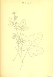 n168_w1150