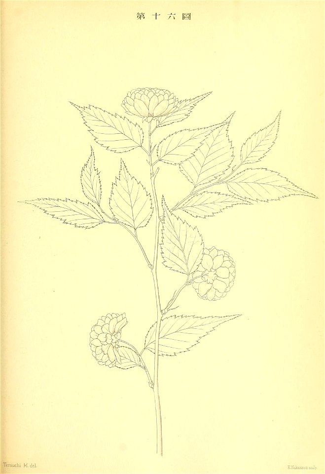 n160_w1150