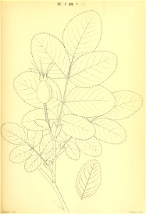 n136_w1150