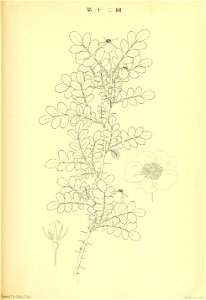 n144_w1150