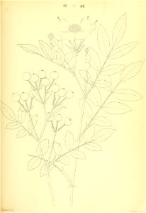 n106_w1150