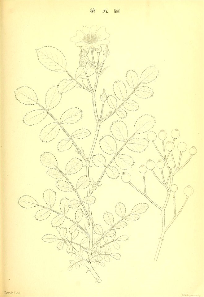 n114_w1150