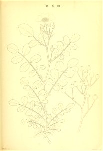 n114_w1150