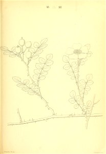 n102_w1150