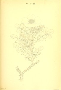 n122_w1150