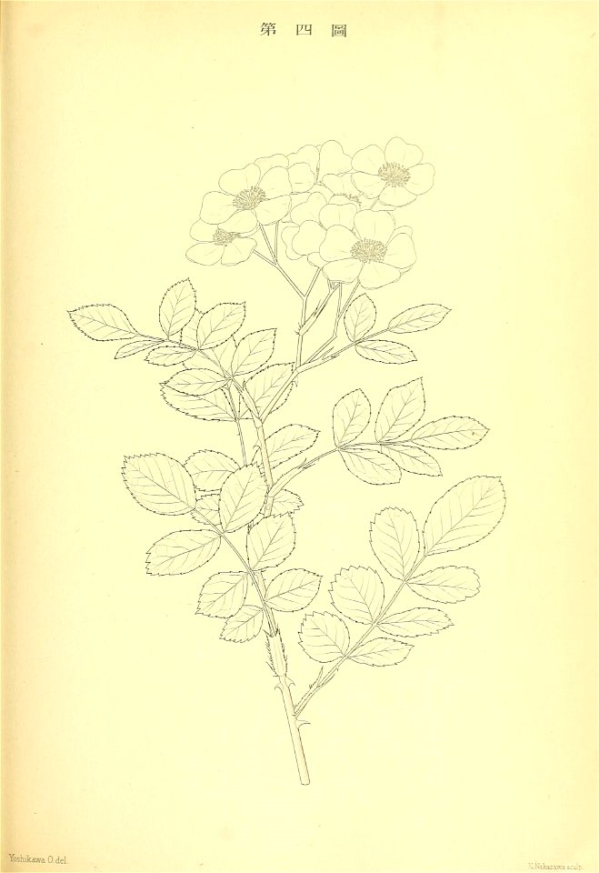 n110_w1150