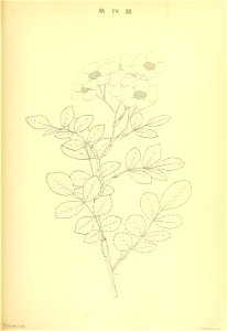 n110_w1150