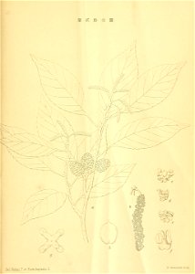 n240_w1150