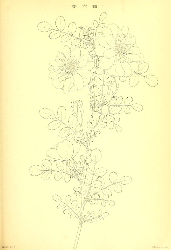 n118_w1150